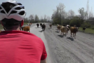 Video: Alleykat Adventures Azerbaijan (EP.2)