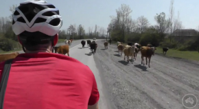 Video: Alleykat Adventures Azerbaijan (EP.2)