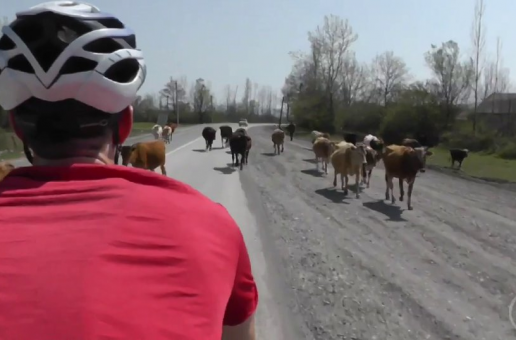 Video: Alleykat Adventures Azerbaijan (EP.2)