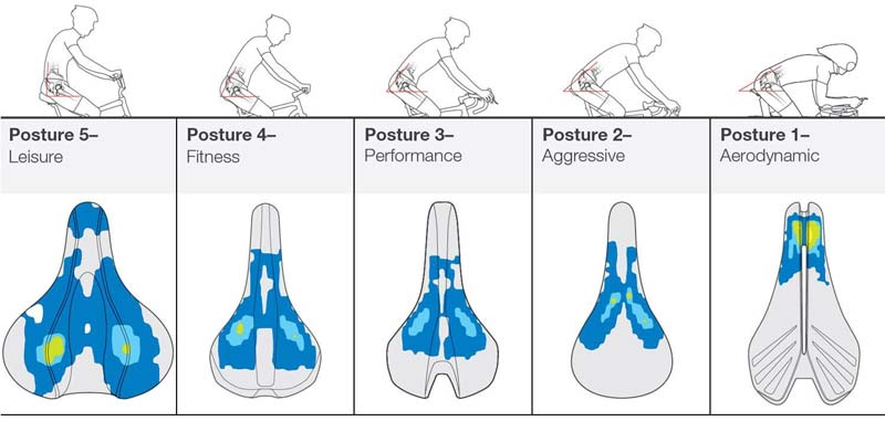 Specialized Sit Bone Chart
