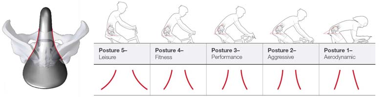 bontrager biodynamic saddle posture transition